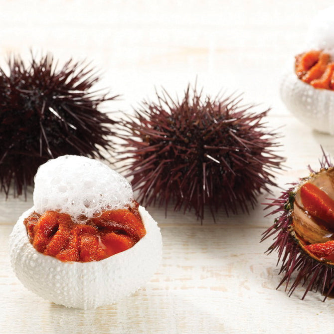 Sea Urchin Dishes