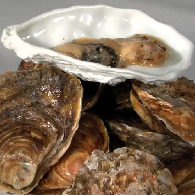 Oyster Dish - Shallow